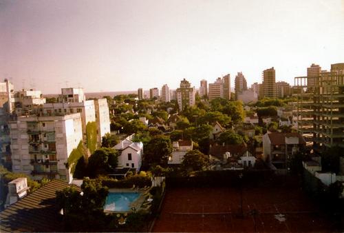 Olivos